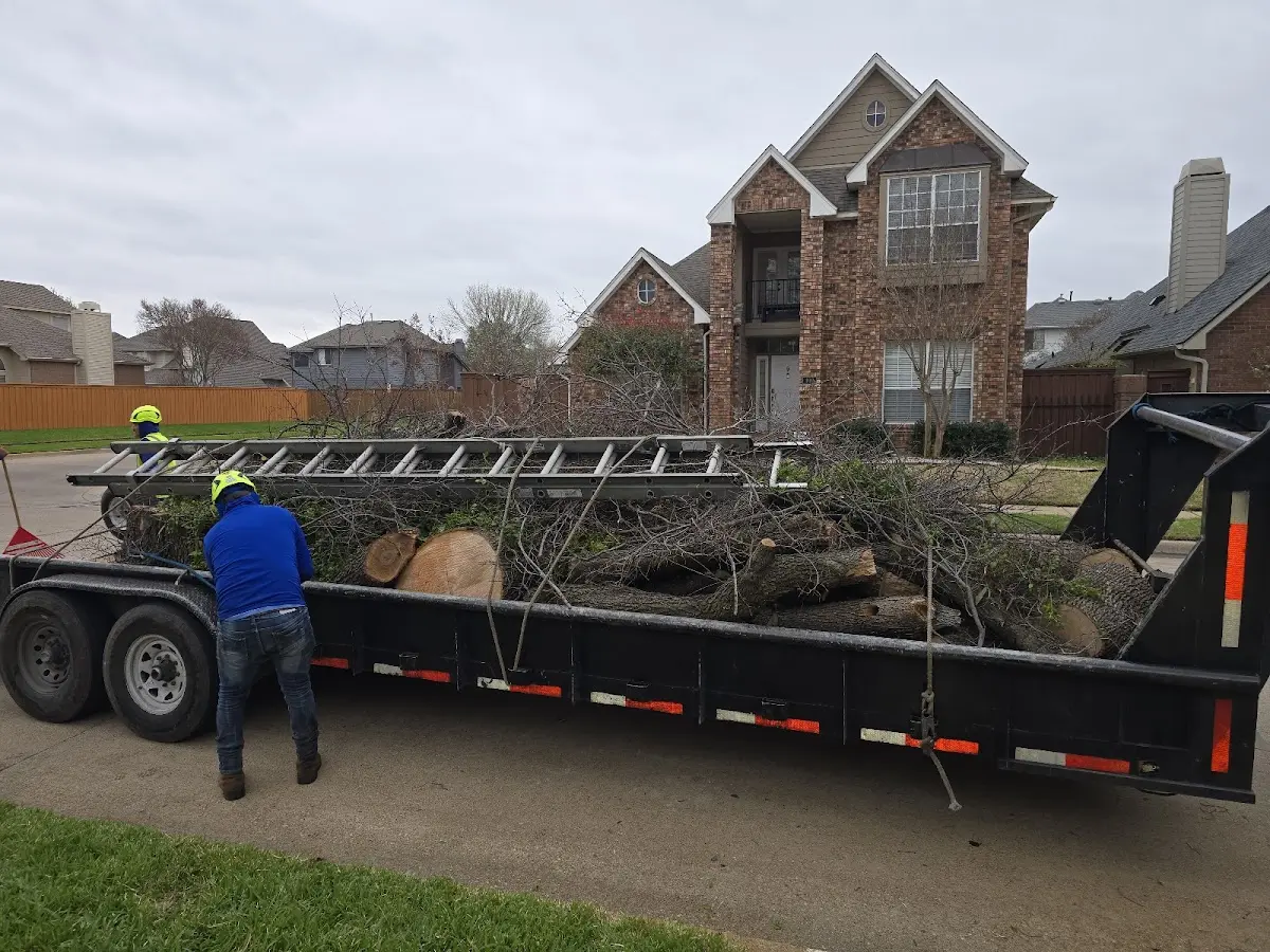 Expert Tree Pest Control with proper safety equipment in Ridgeley